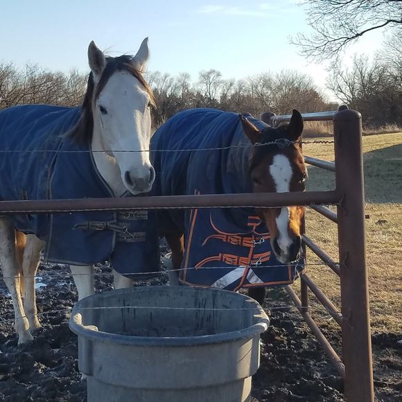 Meet your Posher, Stephanie - Picture 1 of 1